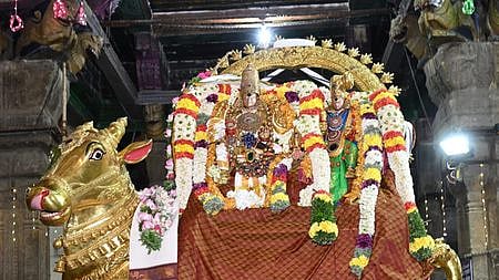 தங்க ரிஷப வாகனத்தில் பிரியாவிடையுடன் எழுந்தருளிய மீனாட்சி சுந்தரேசுவரா்