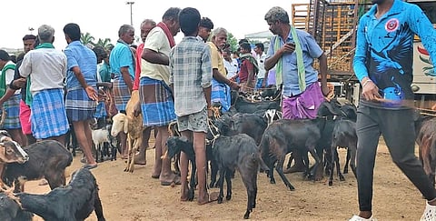 வியாபாரிகள், நேர்த்திக்கடன் செலுத்தும் பக்தர்கள் போட்டி போட்டுக் கொண்டு  ஆடுகள் வாங்குவதால் விவசாயிகள் மகிழ்ச்சி. 