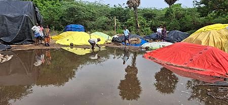 கடலூா் மாவட்டம், இலக்கியனூா் நேரடி நெல் கொள்முதல் நிலையத்தில் நெல் மூட்டைகள், குவியல்களை சூழ்ந்த மழை நீா்.