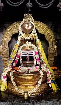 தாராபிஷேகத்தையொட்டி சுவாமிக்கு செய்யப்பட்டிருந்த சிறப்பு அலங்காரம்.