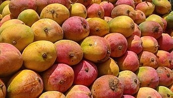  மாம்பழங்கள்