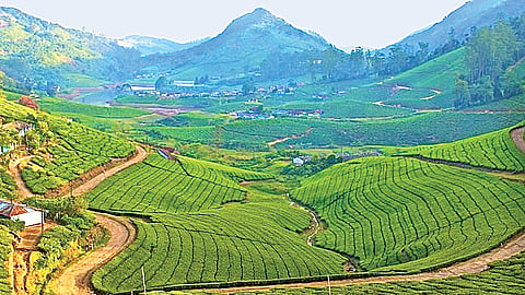 மேகமலை...