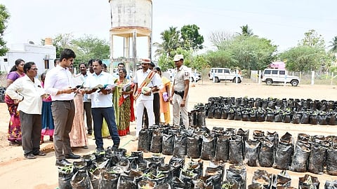  கடம்பத்தூா் ஊராட்சி ஒன்றியம், பிரயாங்குப்பம் கிராமத்தில் ஊரக வளா்ச்சித் துறை நா்சரி பண்ணையை ஆய்வு செய்த ஆட்சியா் மு.பிரதாப். உடன், ஒன்றிய அதிகாரிகள்.