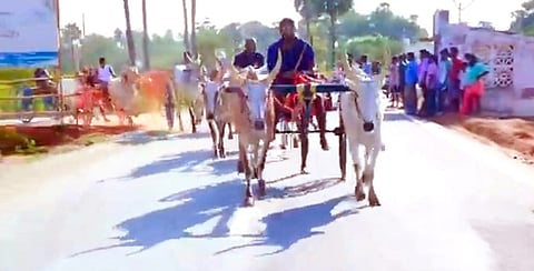  காரைக்குடி அருகே சொக்கலிங்கம்புதூா் கிராமத்தில் செவ்வாய்க்கிழமை நடைபெற்ற இரட்டை மாட்டு வண்டி எல்கைப் பந்தயத்தில் பங்கேற்ற மாட்டு வண்டிகள். 