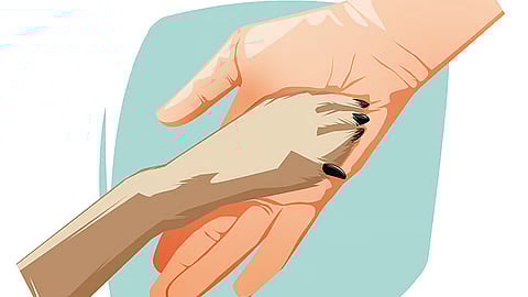 கோப்புப் படம்