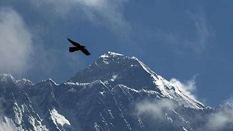 கோப்புப் படம்