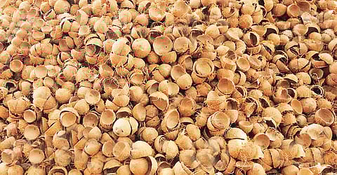 தேங்காய் சிரட்டைக்கு வந்த வாழ்வு... 