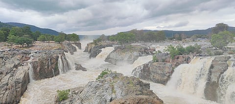 ஒகேனக்கல் ஐவார்பானியில் ஆர்ப்பரித்துக் கொட்டும் தண்ணீர்.