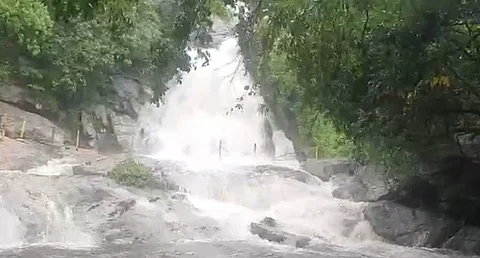 கோவை குற்றாலம் அருவியில் ஏற்பட்டுள்ள வெள்ளப்பெருக்கு