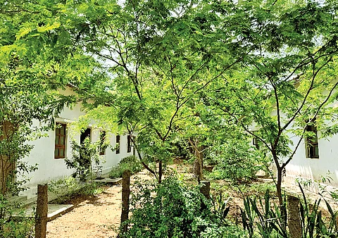 அறிவியல் பரப்பும் ஆரோவில் ஸ்டெம்லேண்ட்