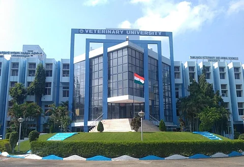 தமிழ்நாடு கால்நடை அறிவியல் பல்கலைக்கழகம்.