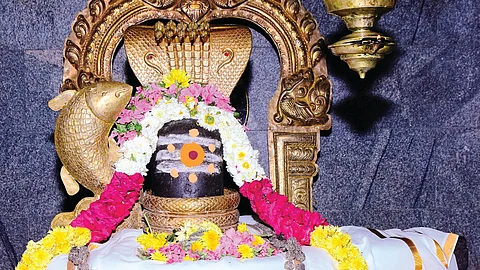 மனக்குறை நீக்கும் மச்சபுரி...