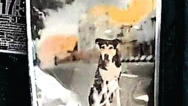 கருப்பன் எப்போதும் காப்பான்