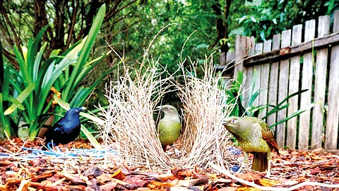 உலகின் பணக்காரக் குடும்பம்