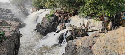 ஒகேனக்கல் பிரதான அருவியில் ஆா்ப்பரித்துக் கொட்டும் தண்ணீா்.