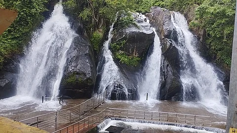ஐந்தருவியில் ஐந்து கிளைகளிலும் விழும்  தண்ணீா்