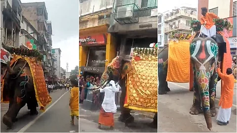 அகமதாபாத் ஜெகந்நாதர் ரத யாத்திரையில் தறிகெட்டு ஓடிய கோயில் யானைகள்.