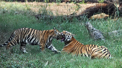 கோப்புப் படம்