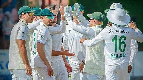 south african players celebrate the wicket