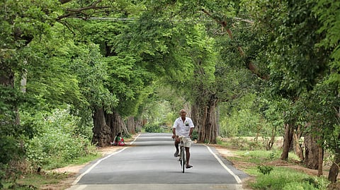 அசாம் கிராமம் - பிரதி படம்