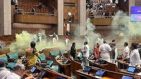 Parliament trespass case: Two granted bail 