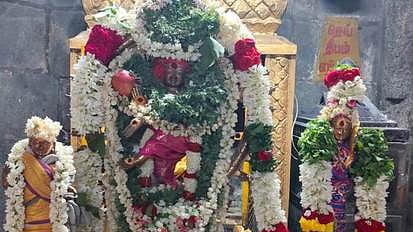 சிறப்பு அலங்காரத்தில் நடராஜா்.