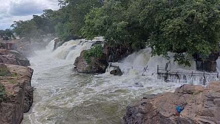 ஒகேனக்கல் அருவிகளில் ஆா்ப்பரித்துக் கொட்டும் தண்ணீா். 