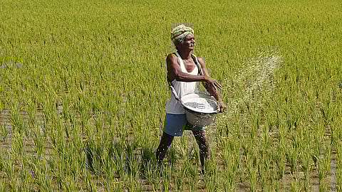 பிரதிப் படம்