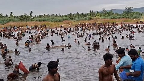 கருத்தலக்கம்பட்டியில்  5 ஆயிரத்திற்கும் மேற்பட்ட பொதுமக்கள் கலந்து கொண்ட பிரம்மாண்ட மீன் பிடித் திருவிழா.