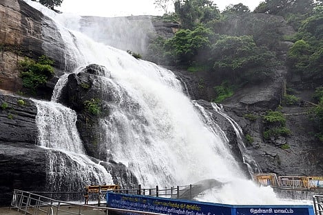 குற்றாலம் பேரருவியில் 7ஆவது நாளாக குளிக்கத் தடை