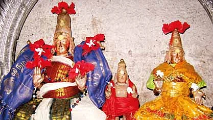 விலங்கு தோஷங்கள் நீங்க...