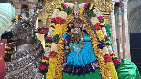 ரிஷப வாகனத்தில்...