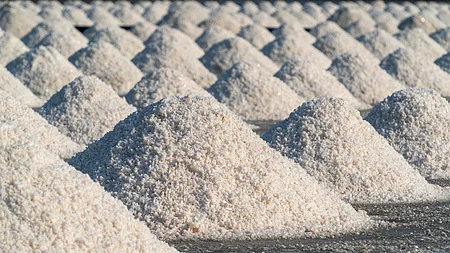 SALT 5051949.JPG