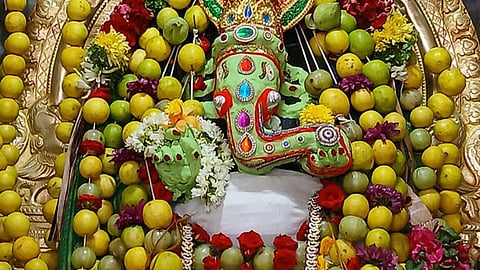 பழனி சண்முகபுரம் சித்தி விநாயகா் கோயிலில் எலுமிச்சை, நெல்லிக்கனி அலங்காரத்தில் அருள்பாலித்த சித்தி விநாயகா்.