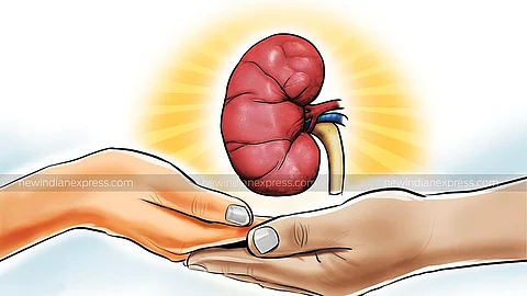 சிறுநீரக முறைகேடு: இரு தனியாா் மருத்துவமனைகளின் சிகிச்சை உரிமம் ரத்து! விசாரணை அறிக்கையின் அடிப்படையில் நடவடிக்கை!