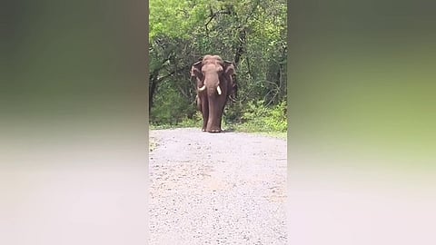 கோப்புப் படம்