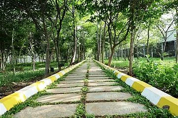 ஹுண்டாய் சாா்பில் 12 ஏக்கரில் 5,500 மரங்களுடன் குறுங்காடு