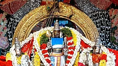 ஆடி  அஸ்வினி சிறப்பு அலங்காரத்தில்  வள்ளி, தெய்வானையுடன்  முருகப் பெருமான்.