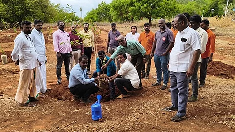 ரயில் நிலையத்தில் மரக்கன்றுகள் நடவு