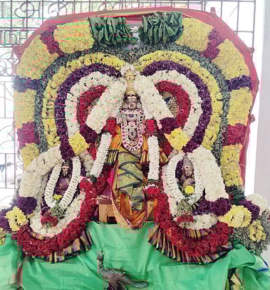 சிறப்பு அலங்காரத்தில் முருகப் பெருமான்.