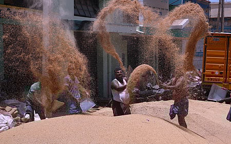 நெல் விளைச்சல் 