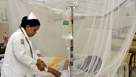  வேகமெடுக்கும் டெங்கு பரவல்...