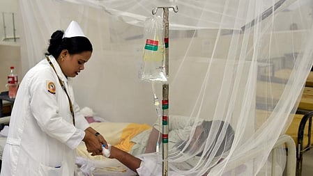  வேகமெடுக்கும் டெங்கு பரவல்...