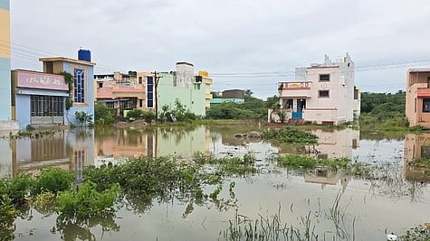 திருத்தணி மகாவிஷ்ணு நகரில் குடியிருப்புகளை சூழ்ந்துள்ள மழைநீா்.
