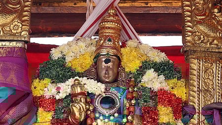 சிறப்பு அலங்காரத்தில் எழுந்தருளிய மீனாட்சி அம்மன்