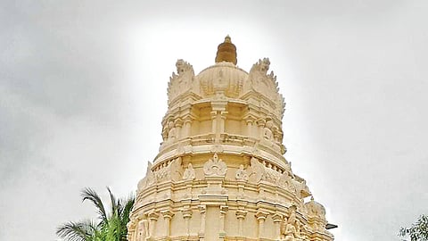 கள ஆய்வு: பாலாற்றால் செழித்தோங்கிய வேளாண்மை..!