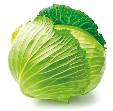 முட்டைகோஸ்