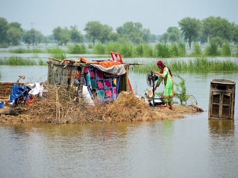 பாகிஸ்தான் வெள்ளம் - கோப்பிலிருந்து