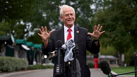 Peter Navarro