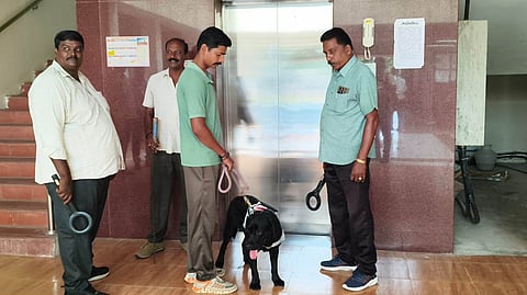 திருவள்ளூா் மாவட்ட ஒருங்கிணைந்த நீதிமன்ற வளாகத்தில் சோதனை மேற்கொண்ட போலீஸாா்.